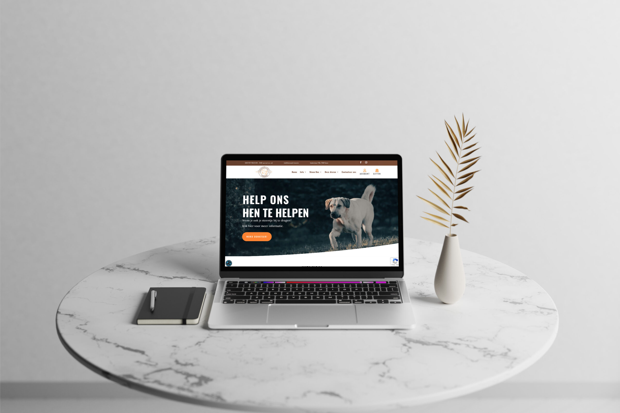 Dierenasiel-tienen.be mockup - homepage